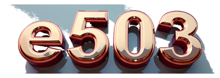 e503 logo